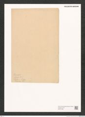 Diatomeae indet. Zeichnungen Sammlung Grunow (NHMW-BOT-W0371398)